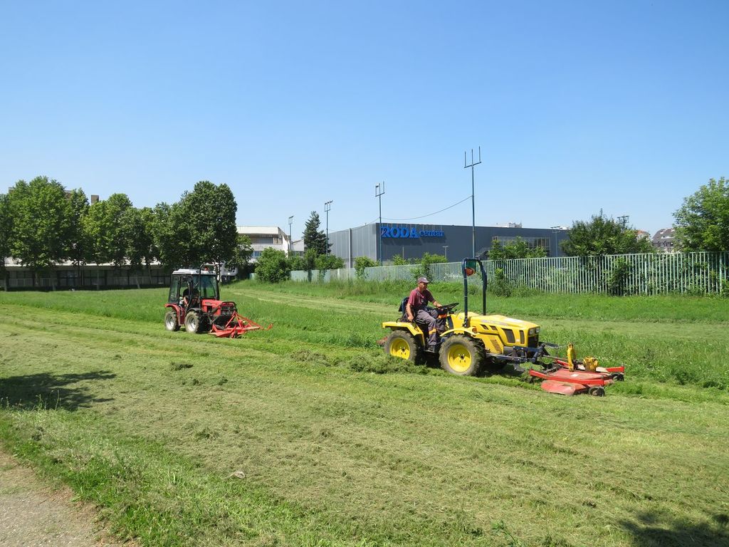 25.06.2020 - ambrozija i kosenje - 04.JPG